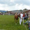 Ponyfestival 2008 037
